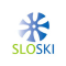 Icon Slovenia Ski Team